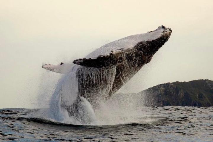 a large waterfall over some water