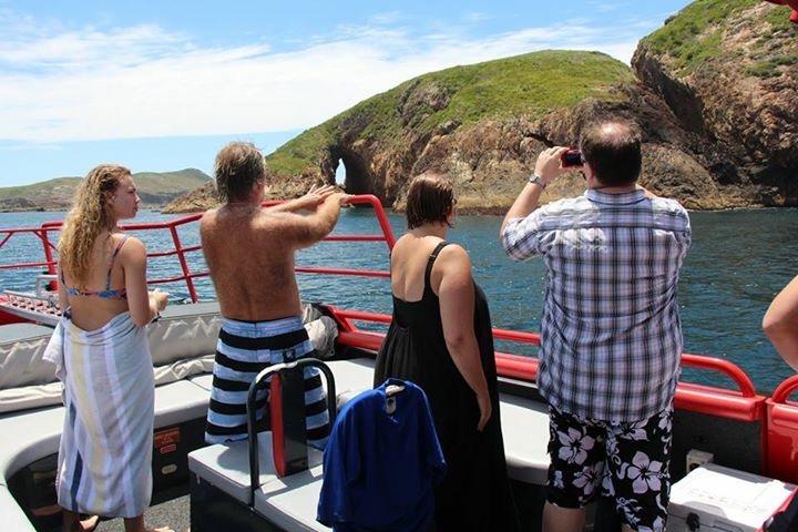 a group of people standing next to a body of water