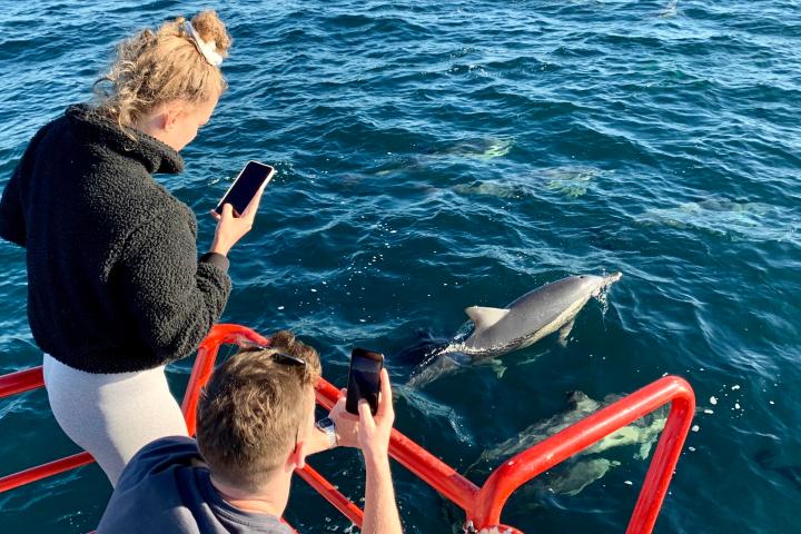 a person looking at the water
