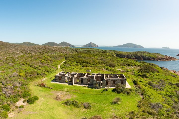 a close up of a hillside next to a body of water